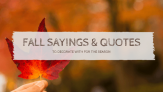 101 Fall Sayings & Quotes To Decorate With For The Season